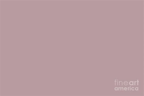 Sherwin Williams Trending Colors of 2019 Orchid Soft Muted Pink SW 0071 Solid Color Digital Art ...