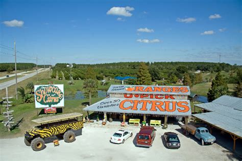 Fresh-Squeezed Fun at the Showcase of Citrus – Visit Lake – Lake County, FL Tourism Blog