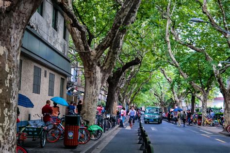 A Shanghai Walking Tour Through the Former French Concession