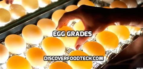 Grading Of Eggs - Egg Grades and Much More! - Quick Asian Recipes