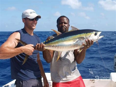 Best Times & Seasons to Catch Fish in Turks & Caicos - Freshwater ...