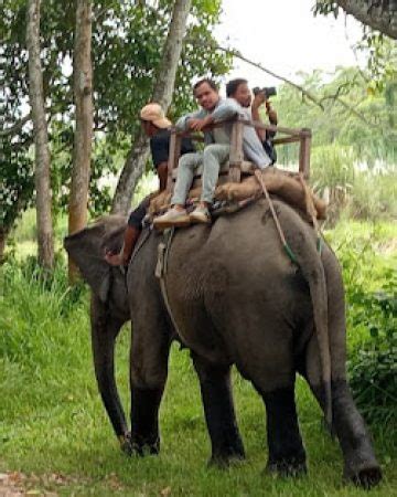 Chitwan Wildlife Safari: Jungle Safari in Chitwan National Park