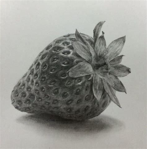 Learning to Draw? You're Gonna Need a Pencil | Fruits drawing, Pencil drawings, Realistic pencil ...