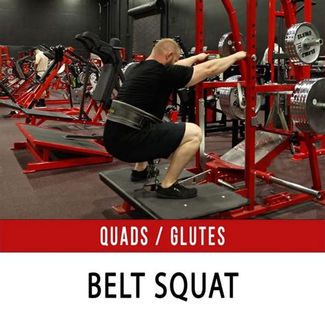 Belt Squat - N1 Training