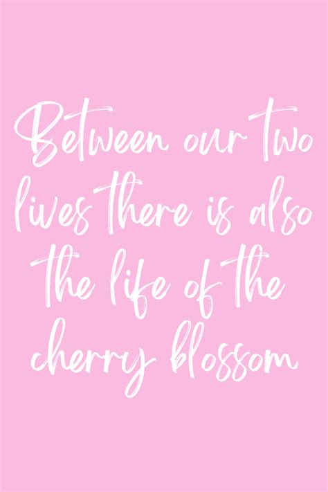 73 Sakura Cherry Blossom Quotes & Captions for Instagram - Darling Quote