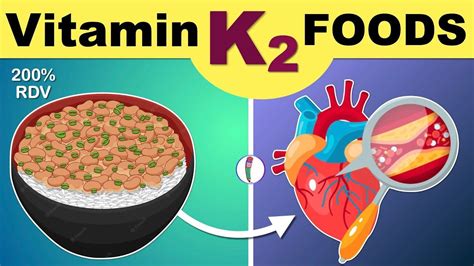 Vitamin K2 Food List | Vitamin k2 Rich Foods | Vitamin K2 | Vitamin K | Vitamin k2 Food Sources ...
