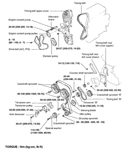 timing belt – Timing belt diagram maintenance replacement