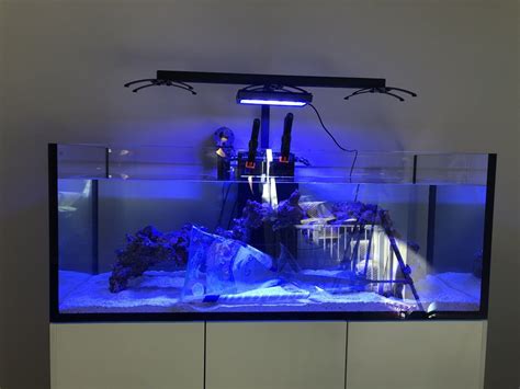 Large Build - WATERBOX AQUARIUMS REEF PRO 180.5 BUILD THREAD | Page 9 | REEF2REEF Saltwater and ...