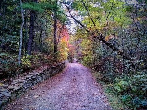 Hiking - Welcome To Hendersonville, NC