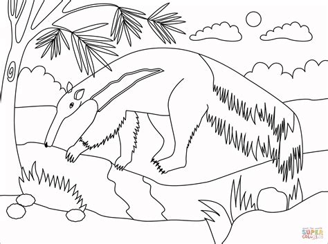 Anteater coloring page | Free Printable Coloring Pages