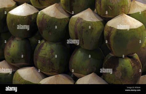 Coconut at a market stall Stock Photo - Alamy