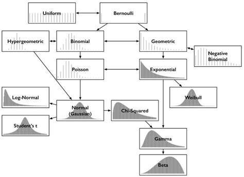 Common Probability Distributions | Probability, Data science statistics, Statistics math