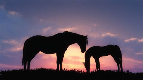 Discover more than 81 pink aesthetic horse wallpapers latest - in.cdgdbentre