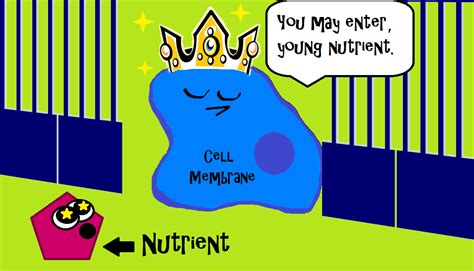 This is an image from our homeostasis video. It's showing how the cell ...