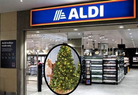 The Aldi Christmas Tree Is The Best Bargain Ever! - Mouths of Mums