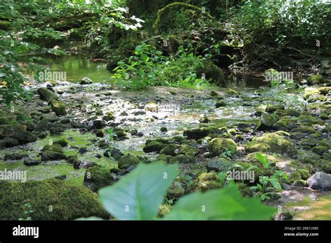 Plas Cadnant, Hidden Gardens Stock Photo - Alamy