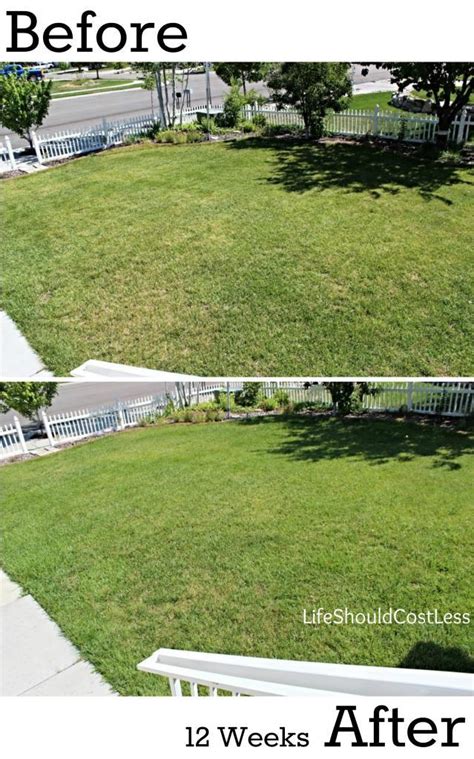 Our Results, Before And After Power Raking Our Lawn - Life Should Cost Less