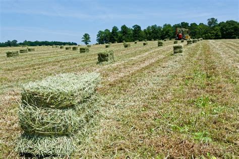 Stability & Safety: How to Stack and Store Hay Bales - Horse Rookie