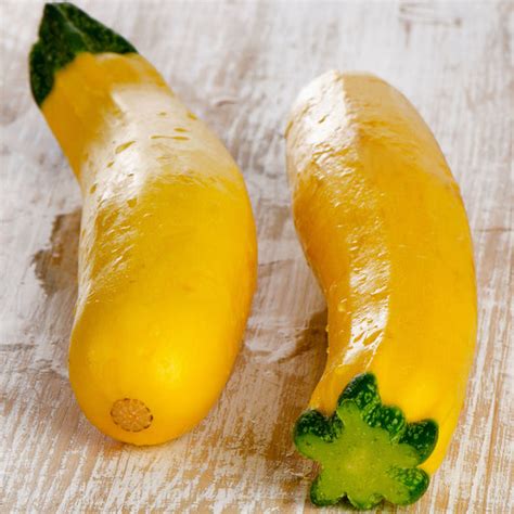 Organic Squash Seeds | Shop 9 Varieties | Eden Brothers