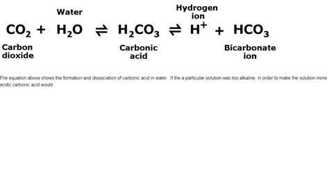 Bicarbonate Ion Formula