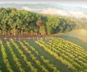 Hermann, Missouri - USA Wine Region | Wine-Searcher