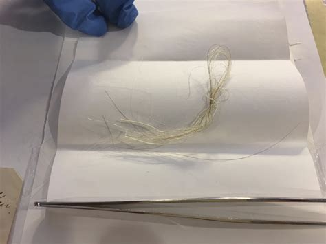 George Washington’s Hair Found in 18th-Century Almanac - History in the Headlines