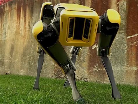 Creepy Robot Dogs Patrol Singapore Parks to Enforce Social Distancing