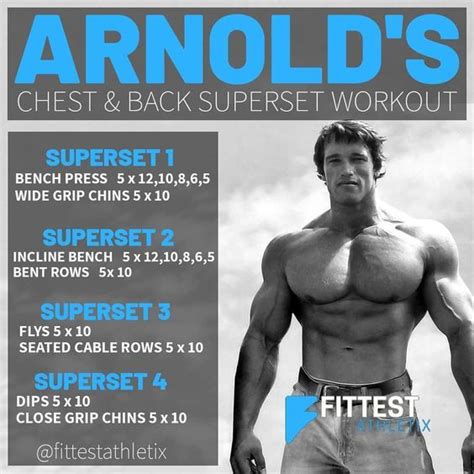 30 Minute Arnold Schwarzenegger Workout Routine for Women | Fitness and ...