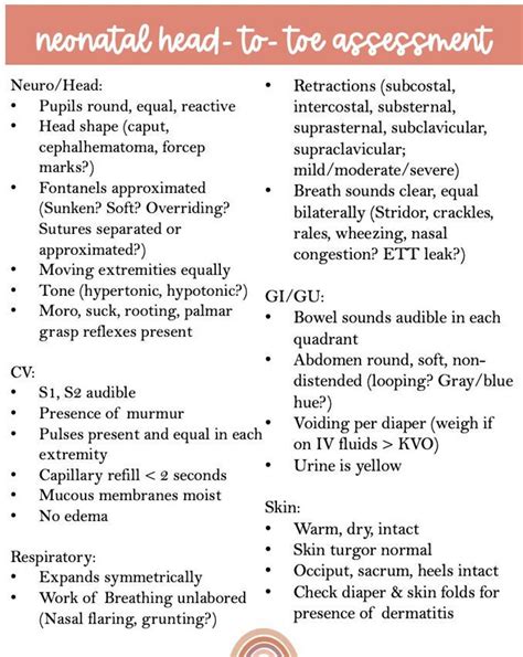 Nicu Neonatal Nursing Head To Toe Assessment Cheat Sheet Printab ...