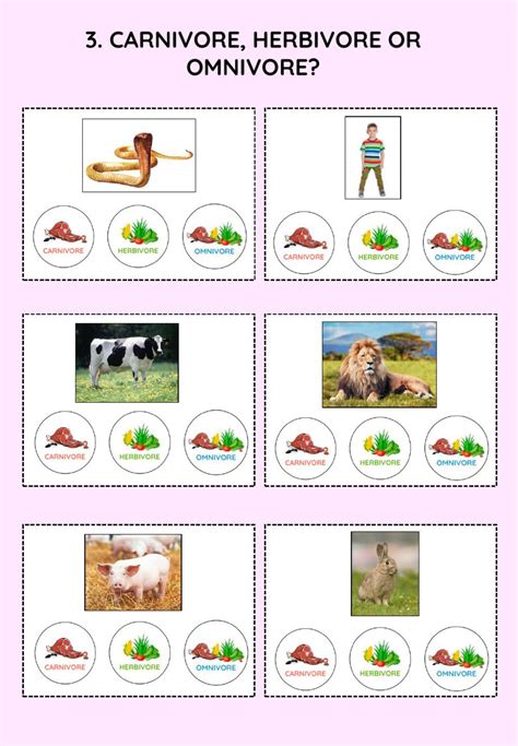 Herbivore And Carnivore, Animal Worksheets, Animal Nutrition, School Subjects, Online Workouts ...