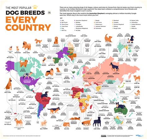 Cool Maps Reveal The Most Popular Dog Breed in Every Country - Earthly Mission Cane Corso, Shiba ...