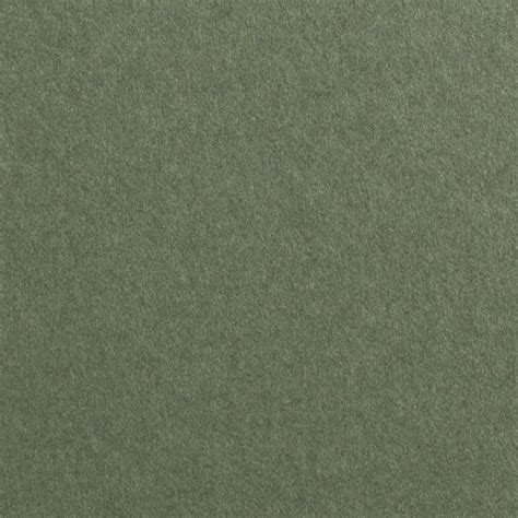 Gmund Colors Matt #16 Seedling Green 8 1/2" x 11" 111# Cover Sheets Bulk Pack of 100