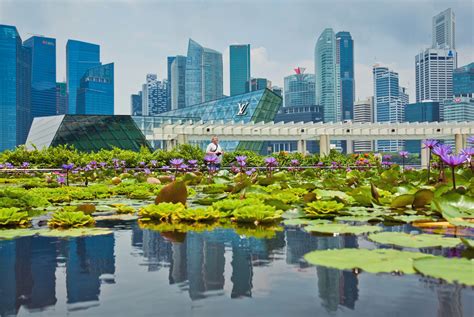 Singapore Climate Change: Reducing Heat Takes Trees and Technology ...