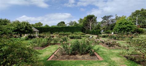 Royal Botanic Gardens Victoria & St Kilda Botanical Gardens : Melbourne ...