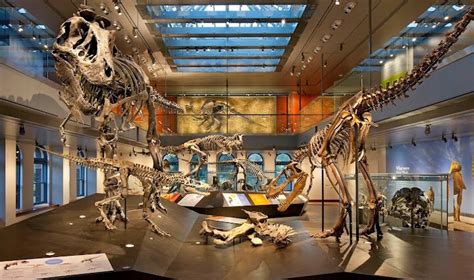 Mr. Gantt's Earth Science Lab Blog: Dinosaur Hall at the Natural ...