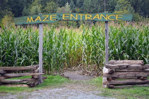 mcnabs-corn-maze-2016-10 | Corn maze, Maze, Corn