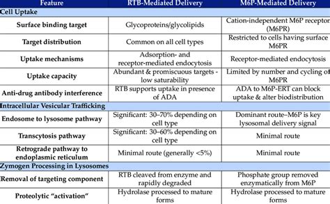 Uptake and trafficking characteristics of lysosomal enzymes as directed... | Download Scientific ...