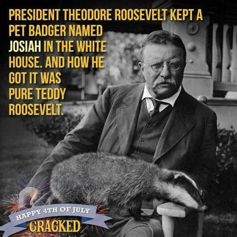 Teddy Roosevelt | Teddy roosevelt, Funny, Happy 4 of july