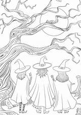 15 Halloween Witches Coloring Pages For Kids  Printable Perks sketch template