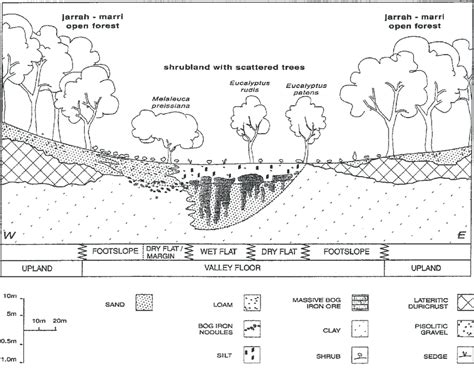 Schematic cross-section across the valley floor of the Cameron Central ...