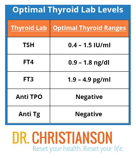 Update: Testing Your Thyroid and the Definitive Guide to Optimal Ranges | Dr. Alan Christianson