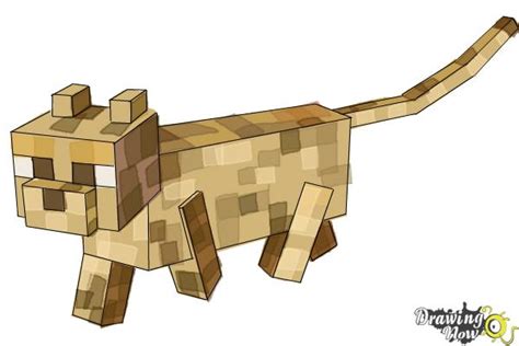 How To Draw A Minecraft Ocelot