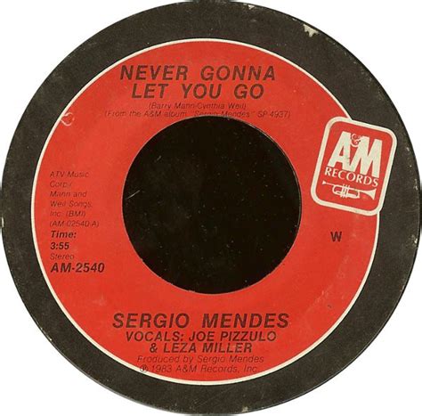 Sergio Mendes* - Never Gonna Let You Go (1983, W pressing, Vinyl) | Discogs