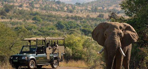 Bakubung Bush Lodge - Siyeza Safaris