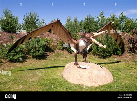 Pterodactyl nest dinosaur hi-res stock photography and images - Alamy