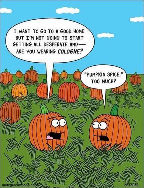 Pumpkin humor Halloween Humor, Halloween Cartoons, Theme Halloween ...