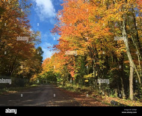 Country Road in Autumn Stock Photo - Alamy