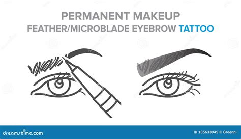 Permanent Makeup, Feather, Microblade Eyebrow Tattoo Procedure Stock Vector - Illustration of ...