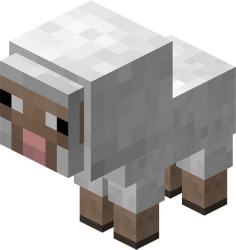 Sheep - Minecraft Wiki - Wikia