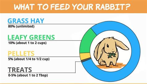 Printable Rabbit Diet Chart